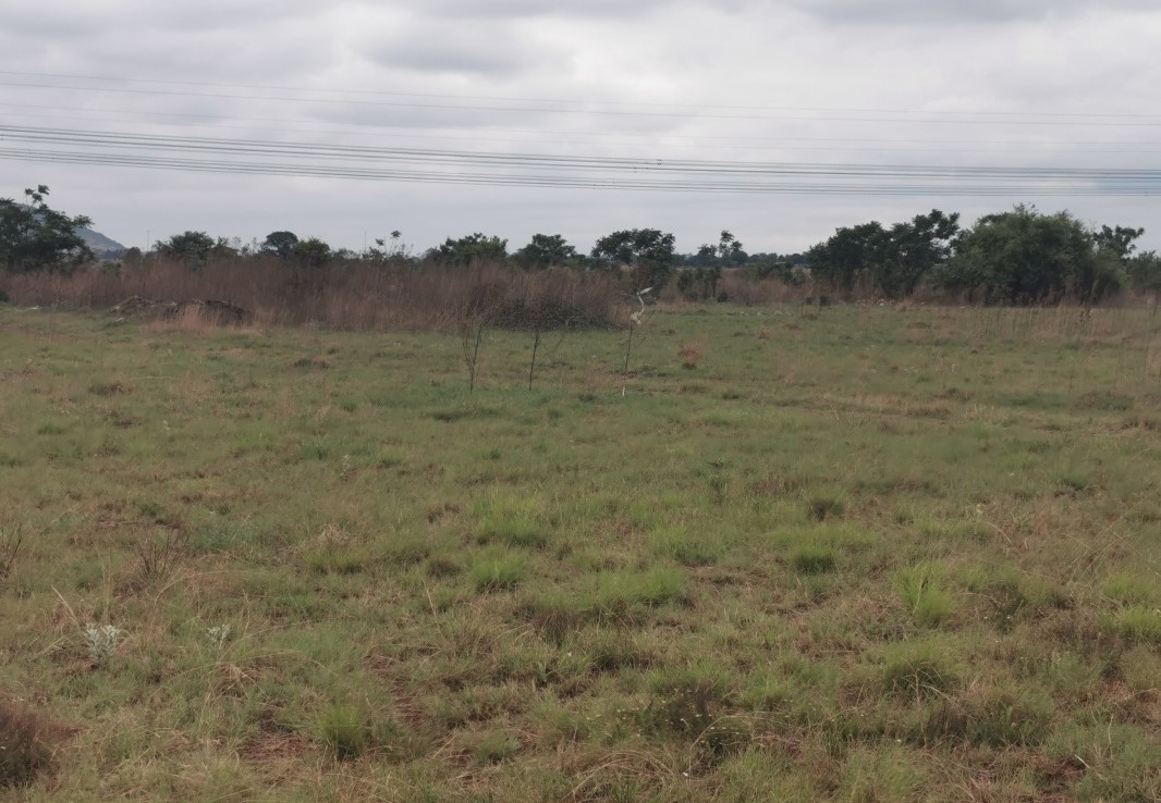 Vacant Land / Stand  For Sale in Mooiplaats 355-Jr | 1330086 |  Photo Number 13