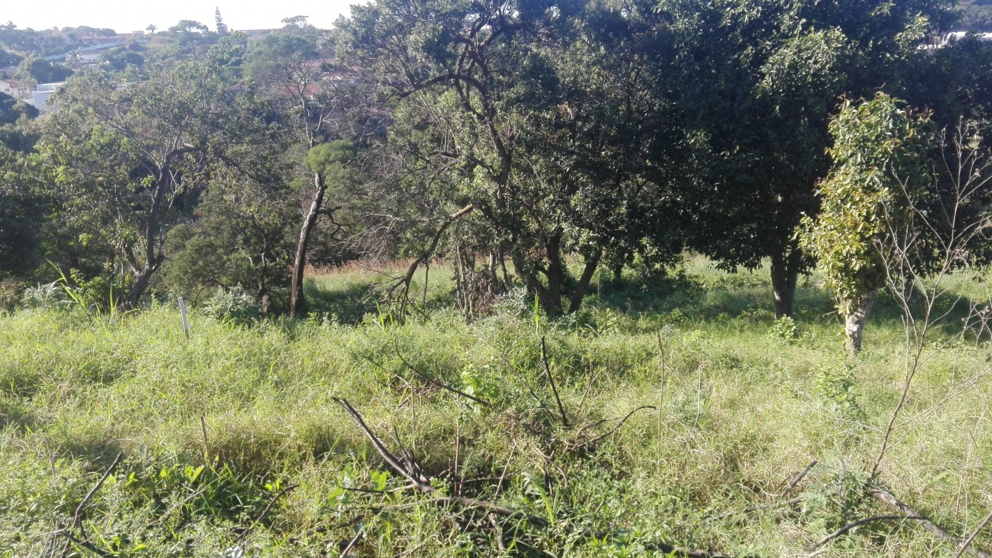 Vacant Land / Stand  For Sale in Albersville | 1336143 | Property.CoZa