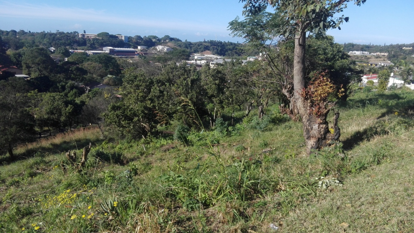 Vacant Land / Stand  For Sale in Albersville | 1336144 | Property.CoZa