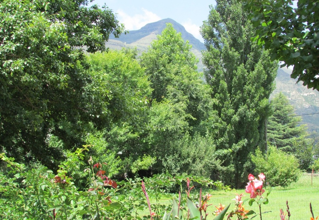 Vacant Land / Stand  For Sale in Clarens | 1345818 |  Photo Number 4