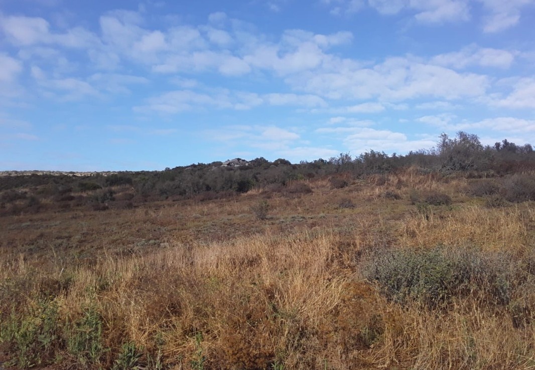 Vacant Land / Stand  For Sale in Saldanha Bay | 1356512 |  Photo Number 3