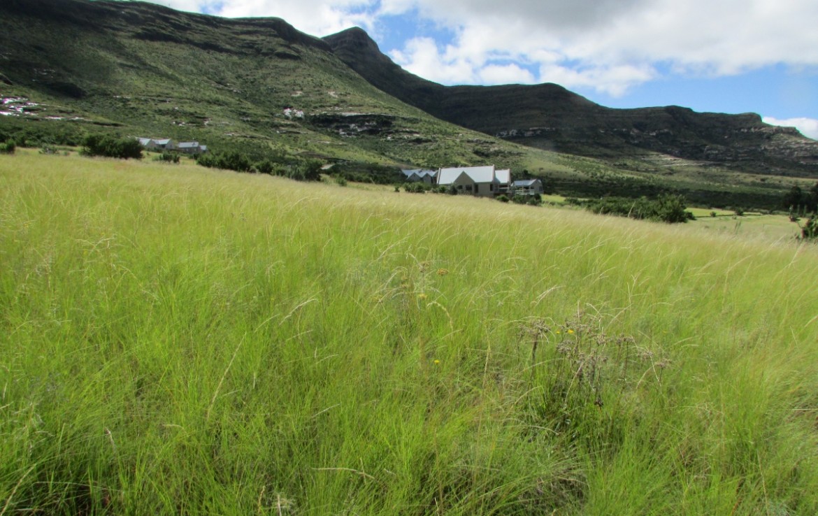 Vacant Land / Stand  For Sale in Clarens | 1321229 |  Photo Number 2