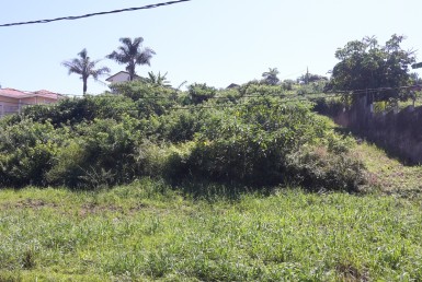 Vacant Land / Stand  For Sale in La Mercy | 1322724 | Property.CoZa